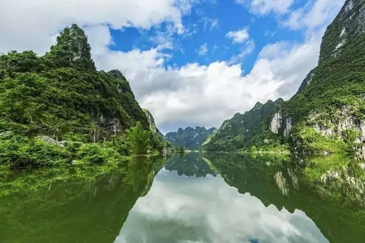 大熊猫和花的腿是有问题吗?游戏画面